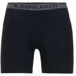 Icebreaker Anatomica Long Boxers SS20