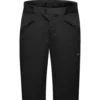 Gore Wear Fernflow Shorts